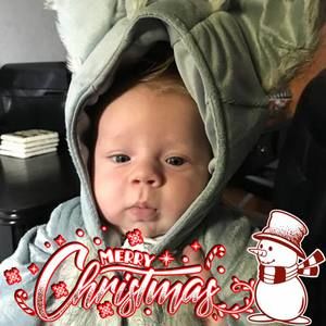 Meet your Posher, Dan